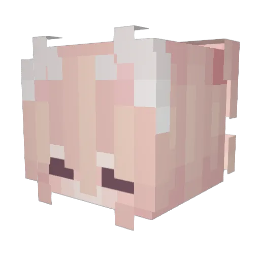 ThoseWhoCrow Minecraft avatar head, 3D render