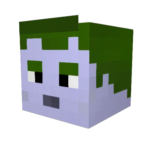 ThoseWhoDig Minecraft avatar head, 3D render