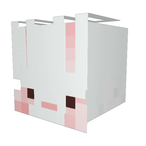 ThosoonY Minecraft avatar head, 3D render