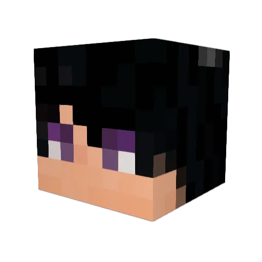 ThoughtPilot000 Minecraft avatar head, 3D render