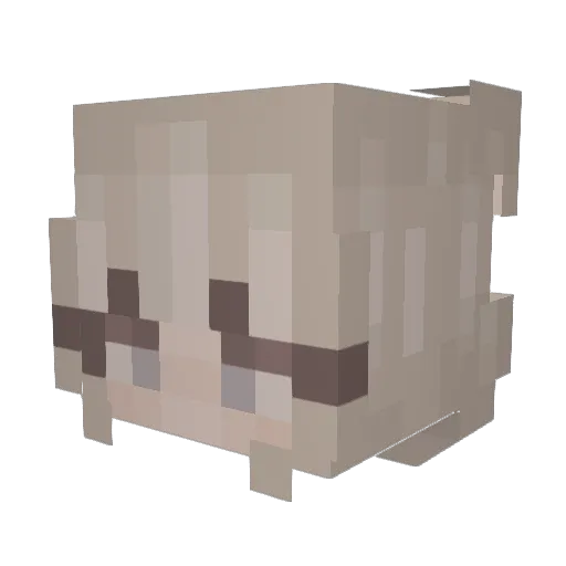 Thraaea Minecraft avatar head, 3D render
