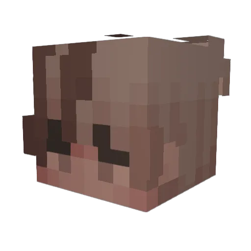 Thrasher2k Minecraft avatar head, 3D render