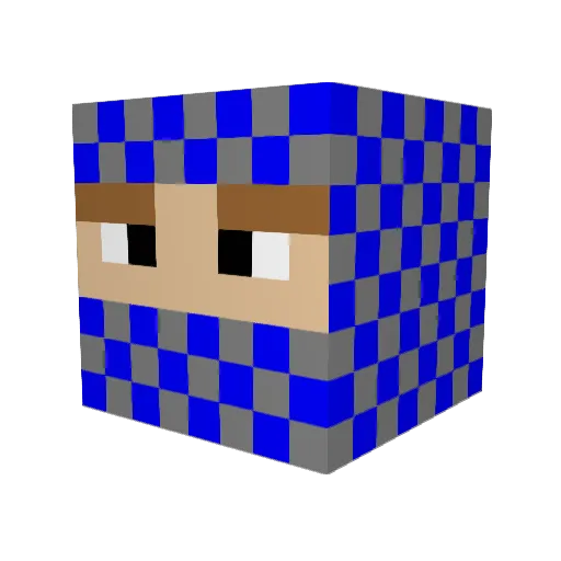 Thrasher5205 Minecraft avatar head, 3D render