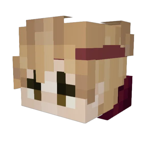 Thrasher9245 Minecraft avatar head, 3D render