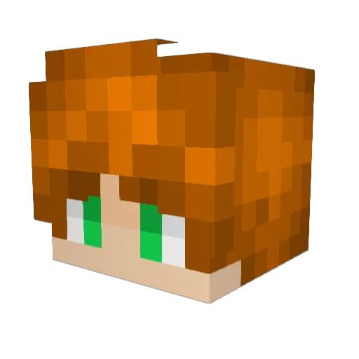 ThreadyTomcat59 Minecraft avatar head, 3D render