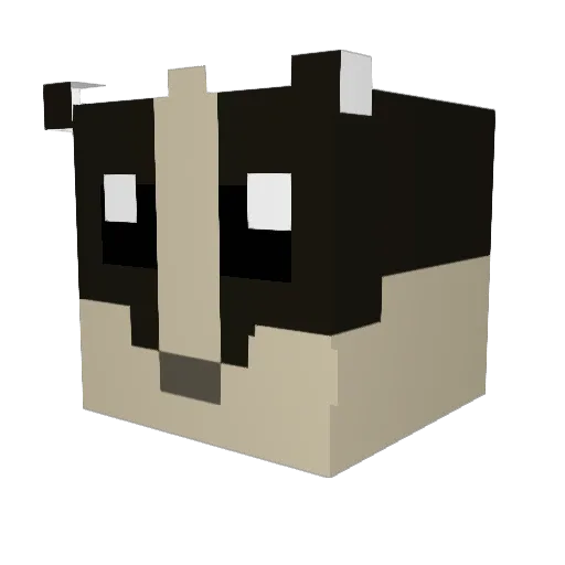 ThreeBadgers35 Minecraft avatar head, 3D render