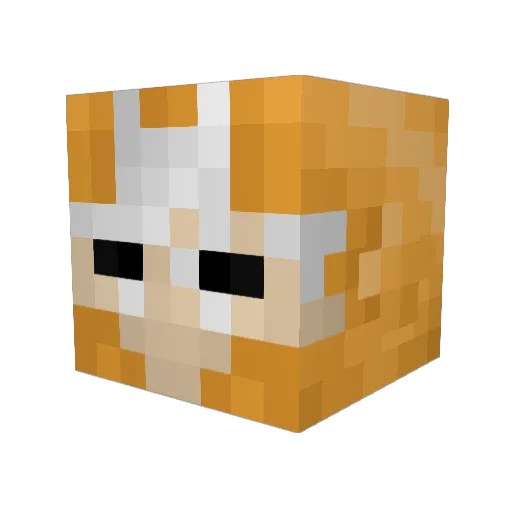 ThreeCastles3558 Minecraft avatar head, 3D render