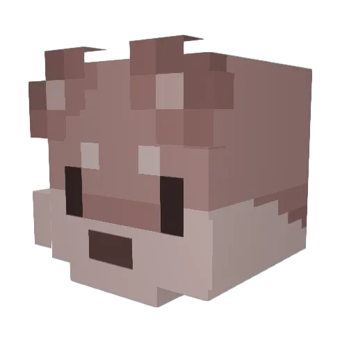 ThreeEyedFish Minecraft avatar head, 3D render