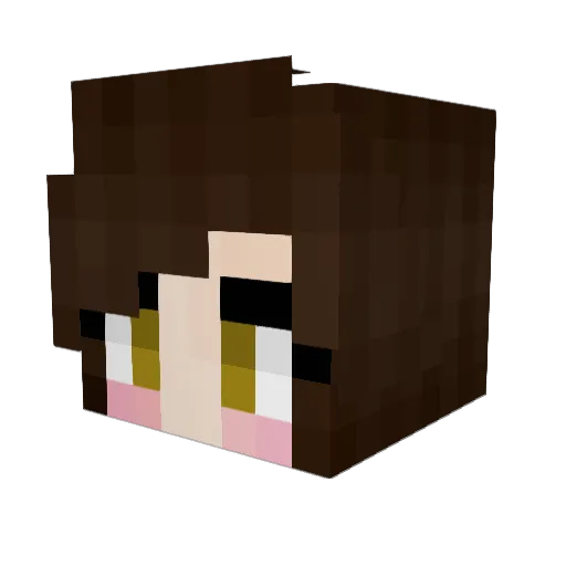 Three_III_3 Minecraft avatar head, 3D render