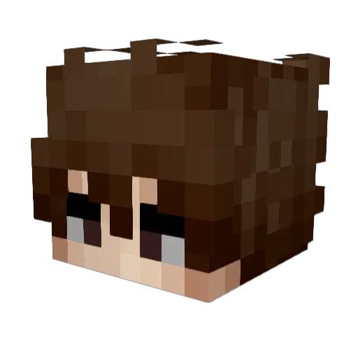 ThreepennyLlama Minecraft avatar head, 3D render