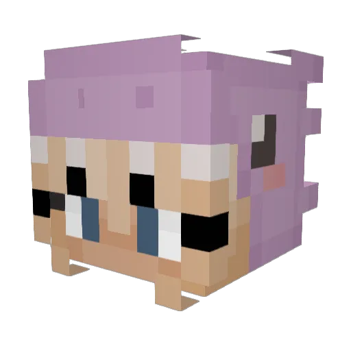 Threetoedsloth0 Minecraft avatar head, 3D render
