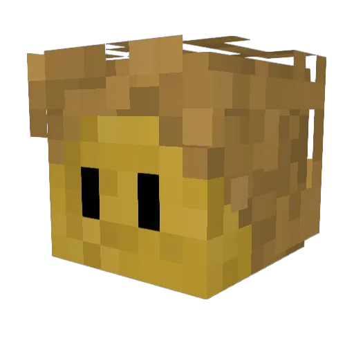 Thrill01 Minecraft avatar head, 3D render