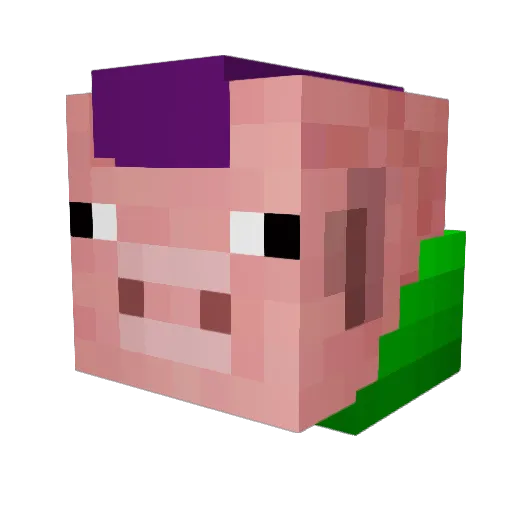 ThrilledMoney69 Minecraft avatar head, 3D render