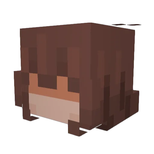 Thrillplayer Minecraft avatar head, 3D render
