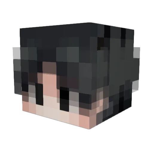 Thrisx0310 Minecraft avatar head, 3D render