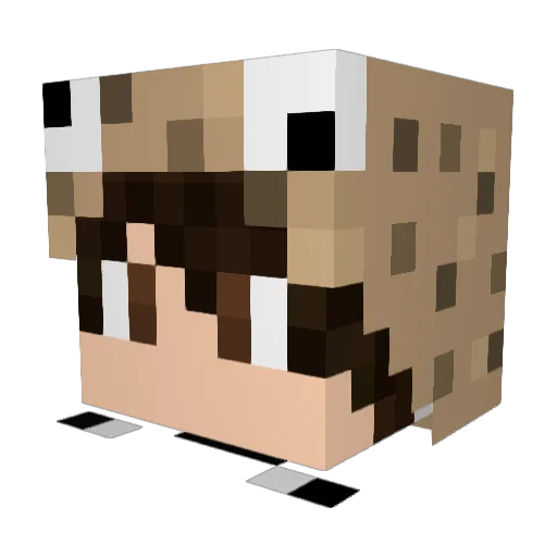 ThroneEzz Minecraft avatar head, 3D render
