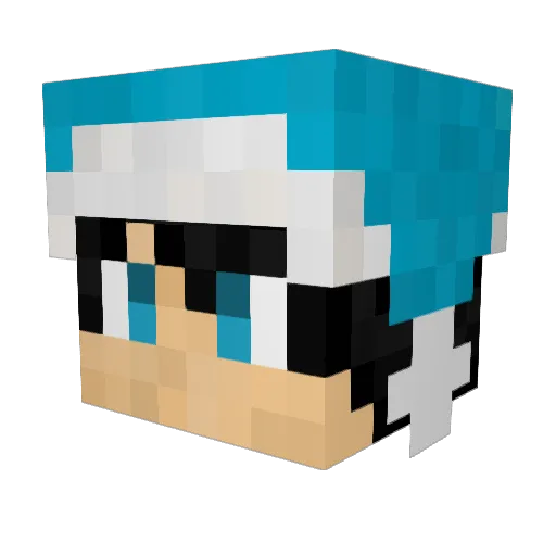 ThrowingWater Minecraft avatar head, 3D render
