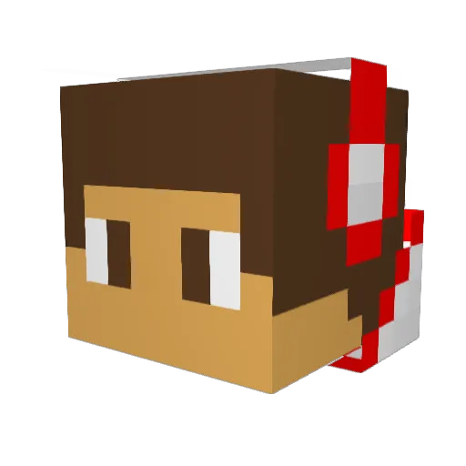 Tht_One_Cool_Guy Minecraft avatar head, 3D render
