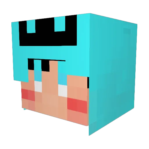 Thubamen Minecraft avatar head, 3D render