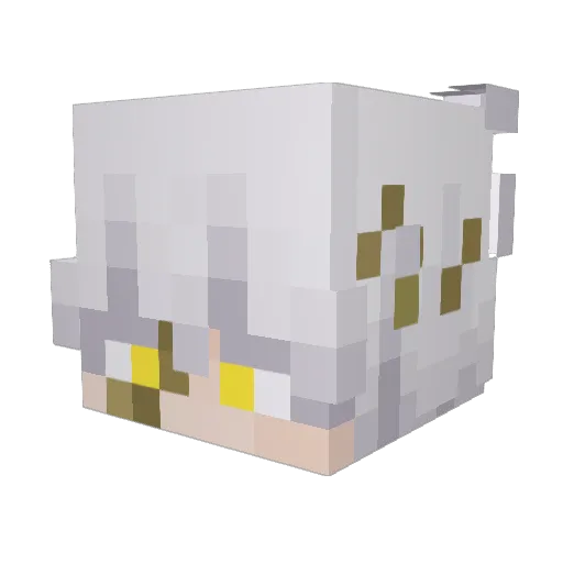 Thucko Minecraft avatar head, 3D render