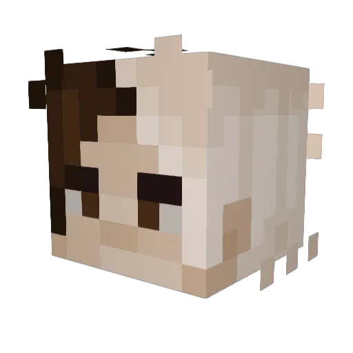 Thumbtack_405 Minecraft avatar head, 3D render