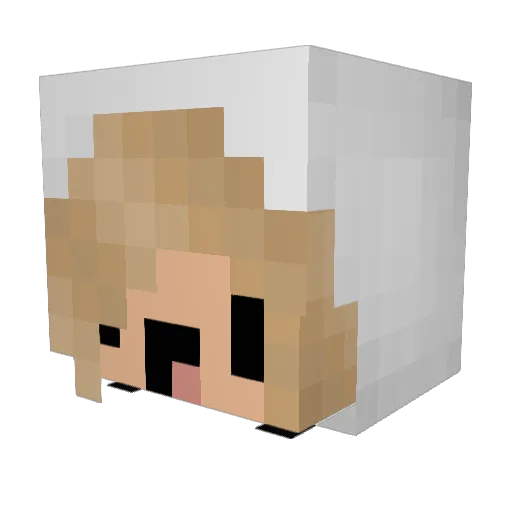 Thumpermeyers Minecraft avatar head, 3D render