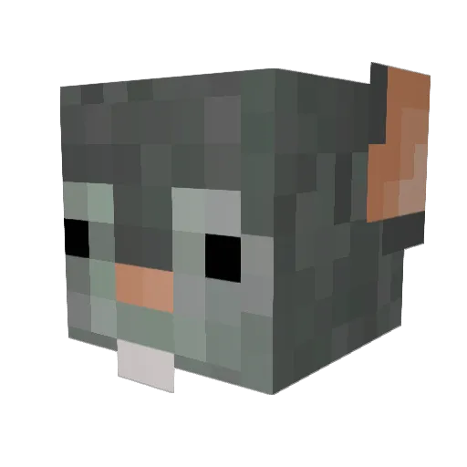 Thunbolt Minecraft avatar head, 3D render