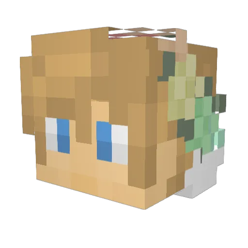 ThundaStriker Minecraft avatar head, 3D render