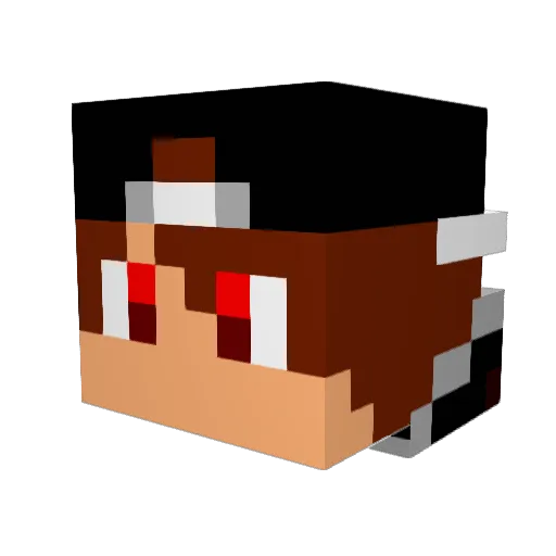 Thunder20045 Minecraft avatar head, 3D render