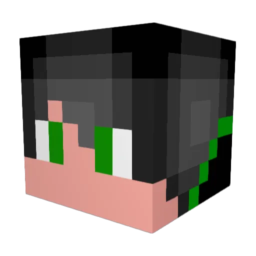 Thunder3147 Minecraft avatar head, 3D render