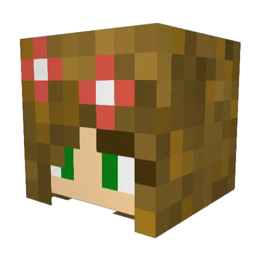 ThunderBee123 Minecraft avatar head, 3D render