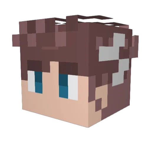 ThunderBolt4399 Minecraft avatar head, 3D render