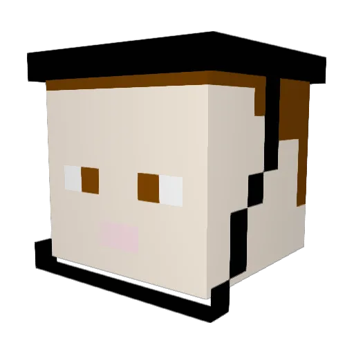 ThunderCaiden Minecraft avatar head, 3D render