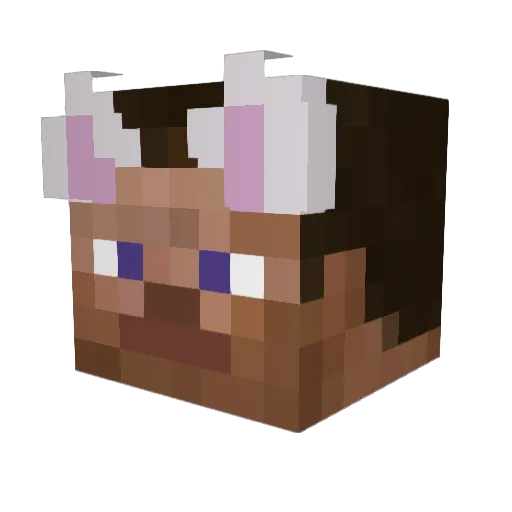 ThunderFart_123 Minecraft avatar head, 3D render