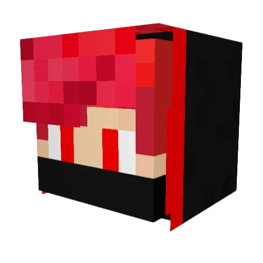ThunderFox14 Minecraft avatar head, 3D render