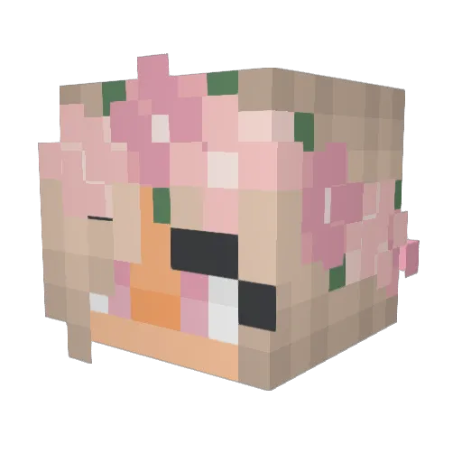ThunderGryphon Minecraft avatar head, 3D render