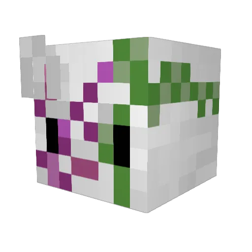 ThunderJaynepaws Minecraft avatar head, 3D render