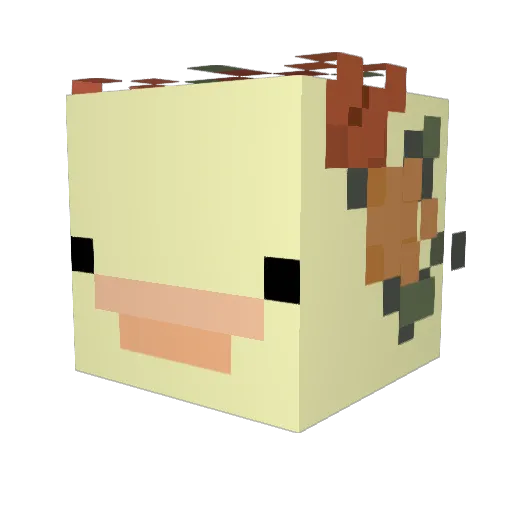 ThunderLion42S Minecraft avatar head, 3D render