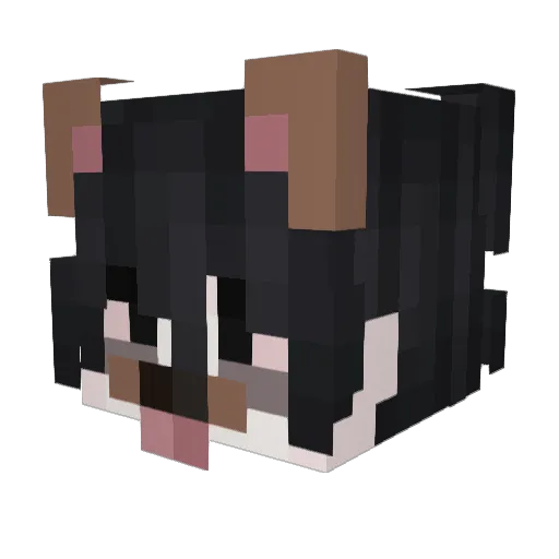 ThunderLordd Minecraft avatar head, 3D render
