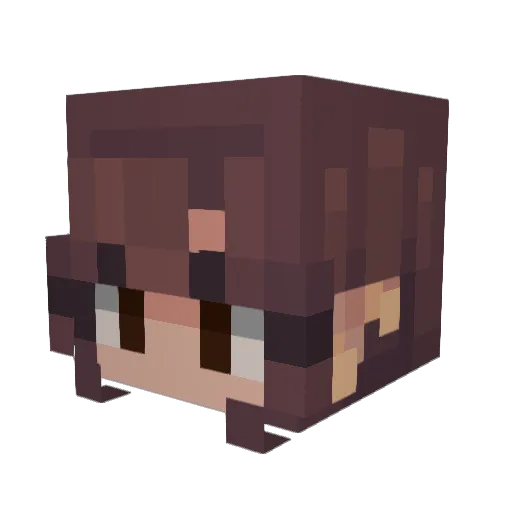 ThunderRayne Minecraft avatar head, 3D render