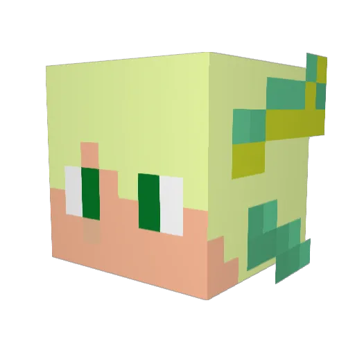 ThunderSamuraii Minecraft avatar head, 3D render
