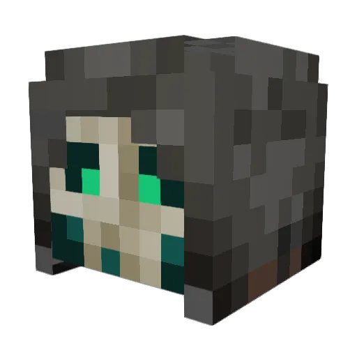 ThunderWitch Minecraft avatar head, 3D render
