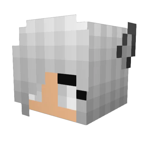 ThunderWolf170 Minecraft avatar head, 3D render