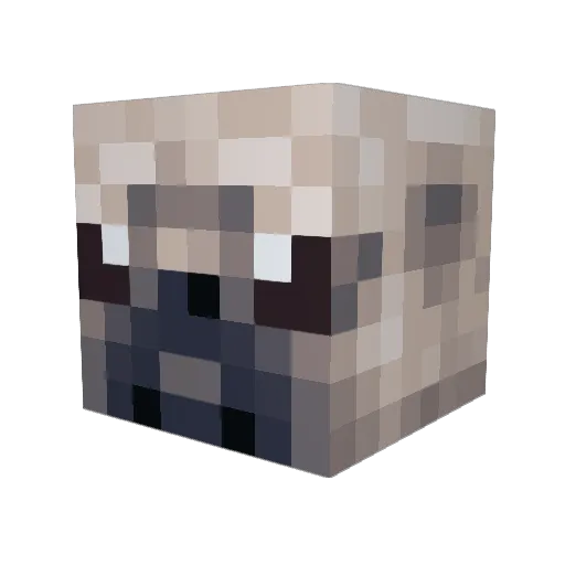 ThunderWolf398 Minecraft avatar head, 3D render