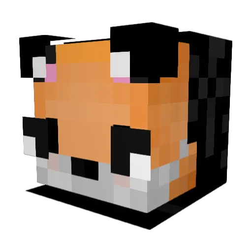 Thunder_Playzz Minecraft avatar head, 3D render