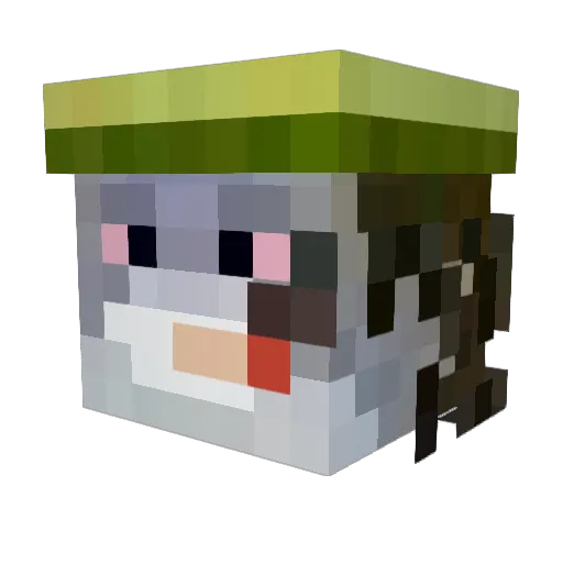 Thunder_Viper Minecraft avatar head, 3D render