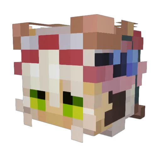 Thunder_kids Minecraft avatar head, 3D render