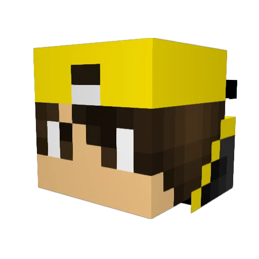Thunderbro1234 Minecraft avatar head, 3D render