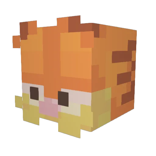 Thundergod1254 Minecraft avatar head, 3D render