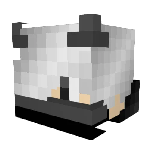 Thundermaster007 Minecraft avatar head, 3D render
